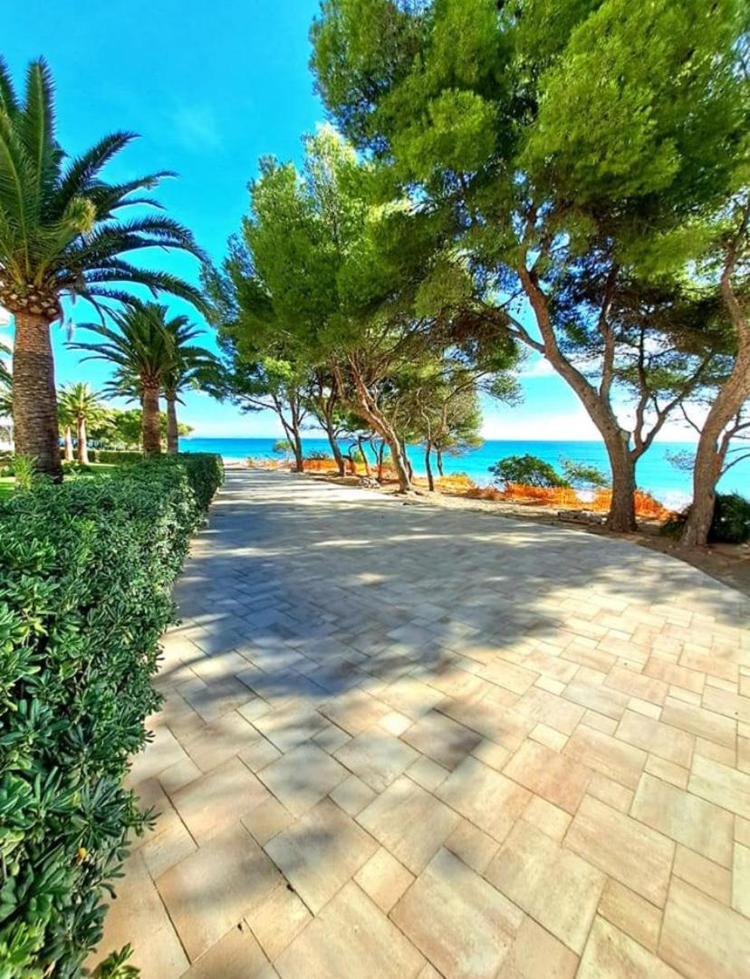 La Rosaleda Miami Playa