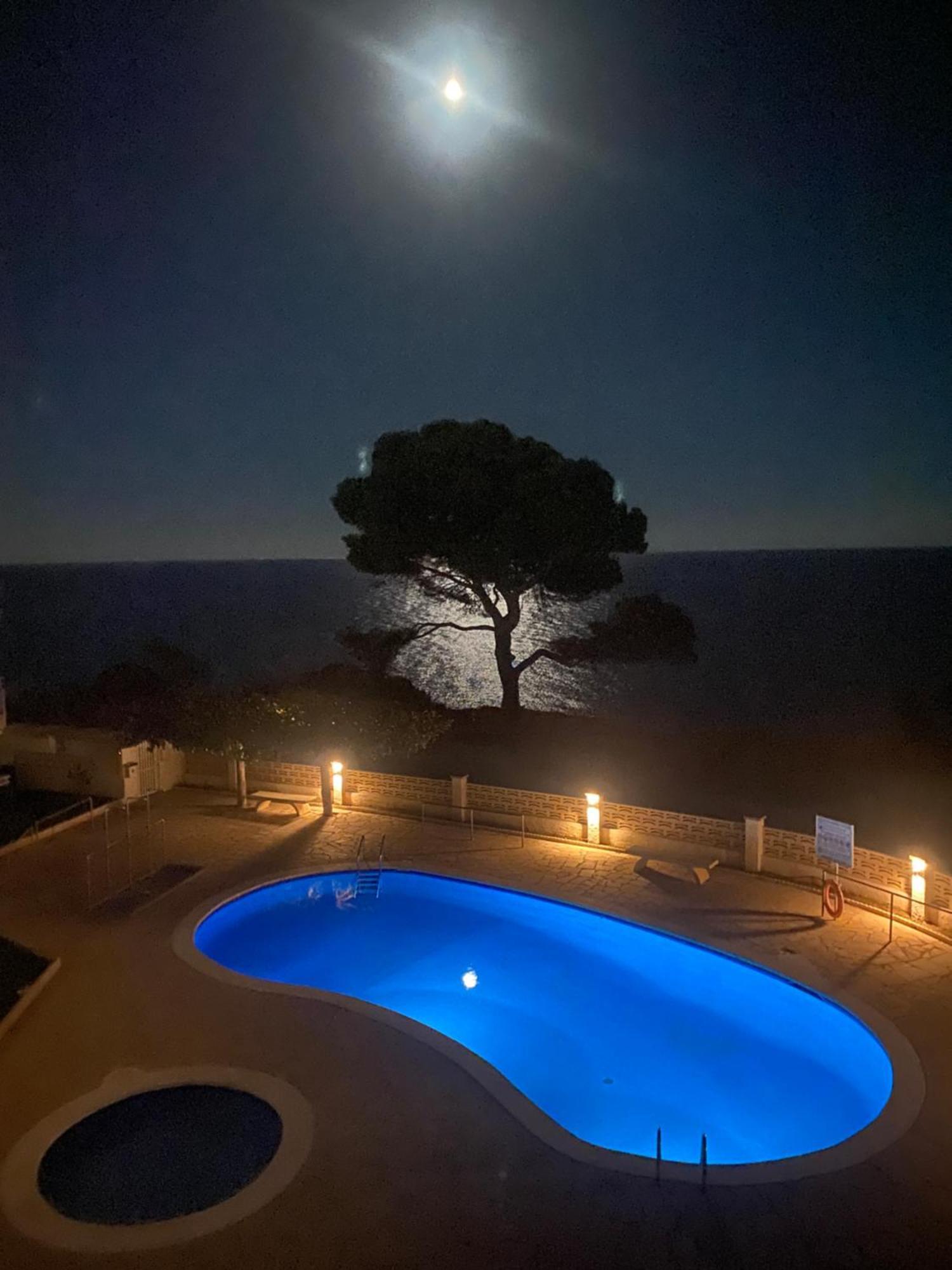 La Rosaleda Appartement